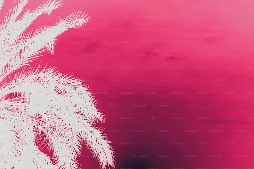 寒武纪进阶曲:国产AI芯片的突围之路
